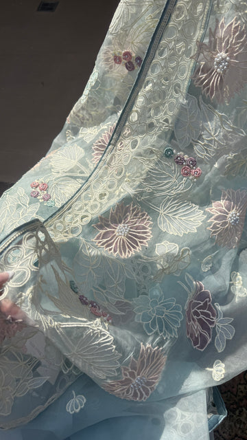 Dreamy Organza Saree