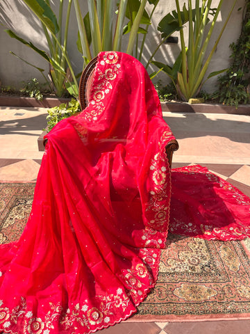 Tissue Appliqué Work Saree