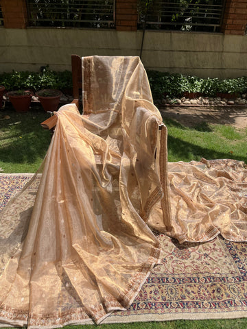 • DULHAN • Tissue Silk Saree