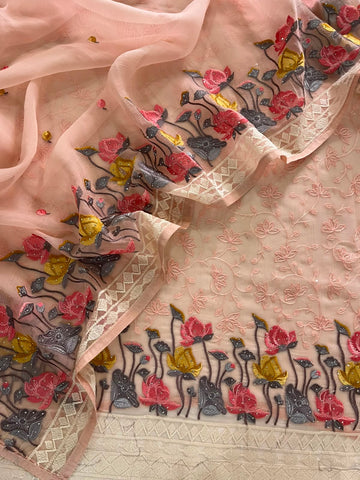 Beautiful Chiffon Embroidered Set