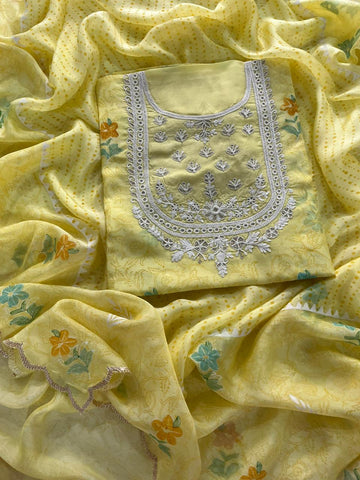 Beautiful Muslin with Aari Embroidery