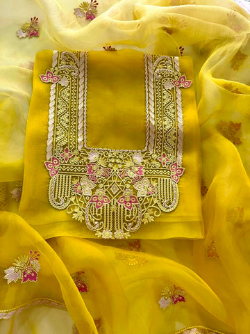 Organza Kurta