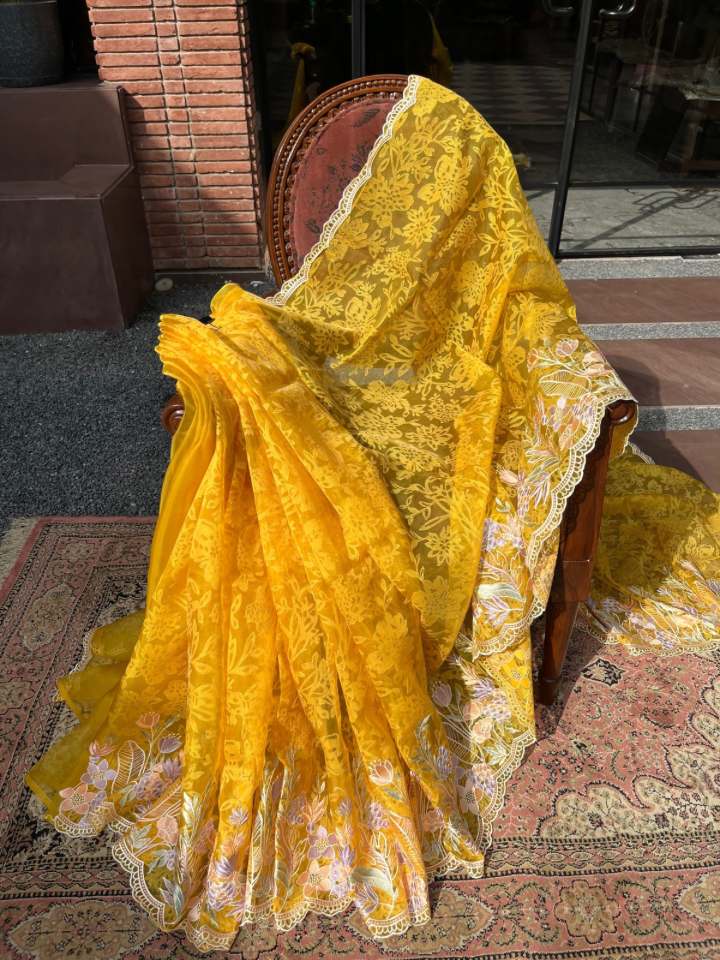 Dreamy Organza Saree